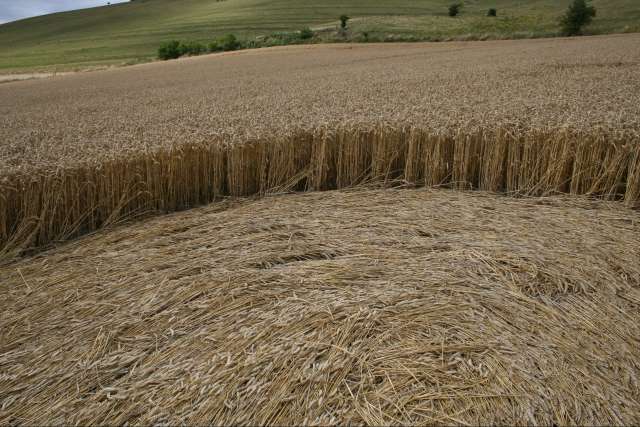 [image photo04.jpg]