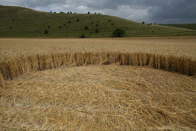 [image photo05.jpg]