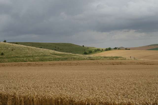 [image photo07.jpg]