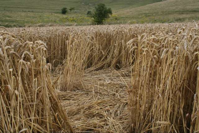 [image photo08.jpg]