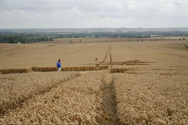 [image photo19.jpg]