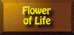 Flower of Life