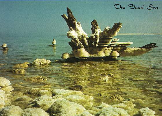 The Dead Sea