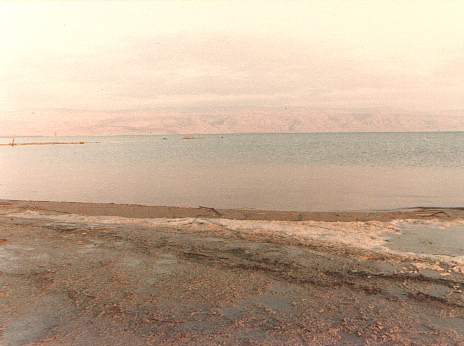 The Dead Sea