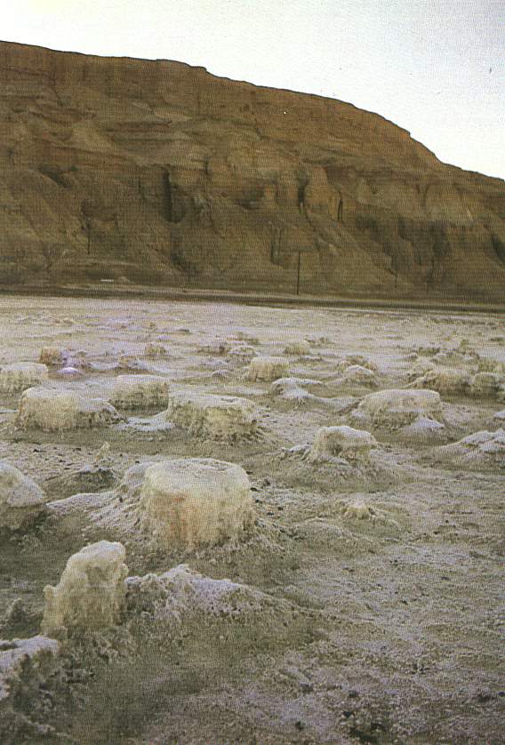 The Dead Sea